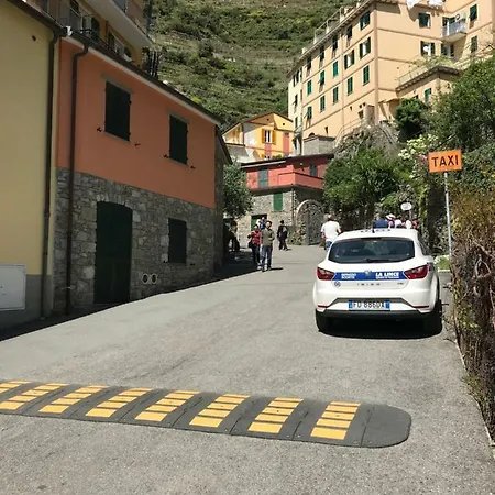 Lory's Manarola